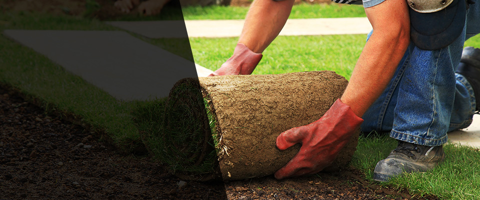 Saint James Landscapers